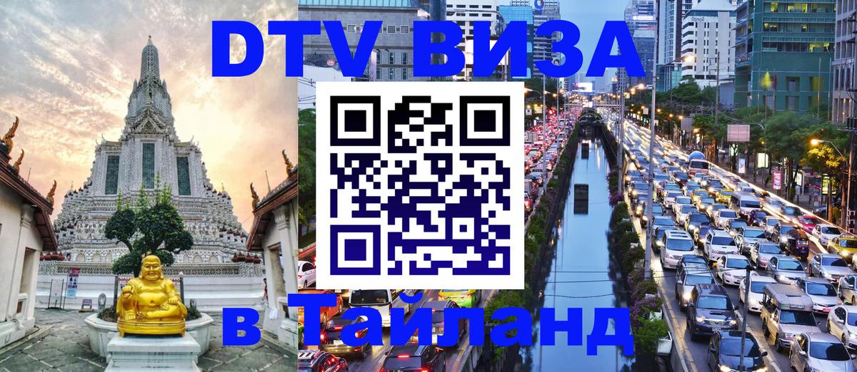 Оформление DTV визы под ключ: стоимость и тарифы, только загранпаспорт - Великий Новгород  19.11.2025 